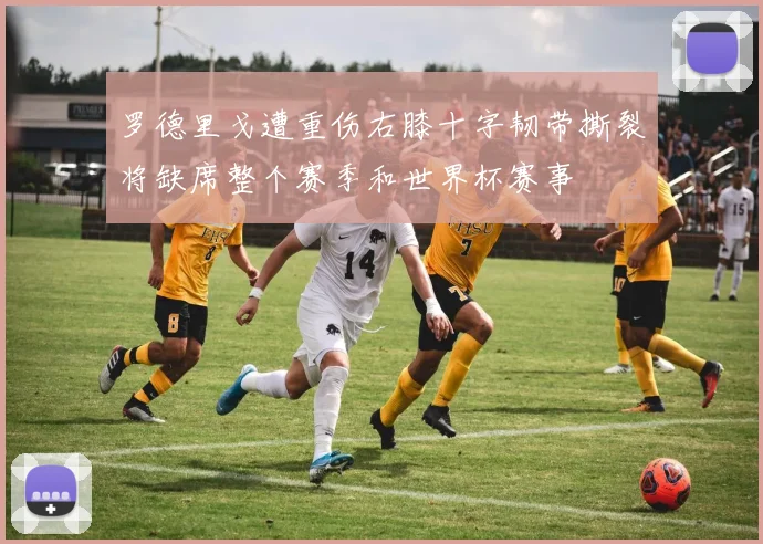 罗德里戈遭重伤右膝十字韧带撕裂将缺席整个赛季和世界杯赛事