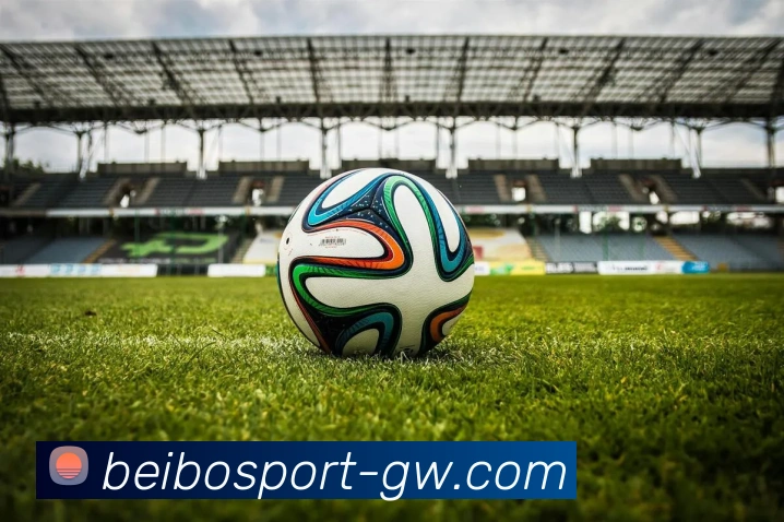 贝博体育发展历程